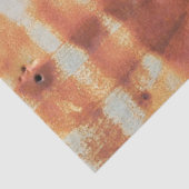 Sehr robuste Metallaußenwand eines ländlichen Ausb Seidenpapier (Detail)