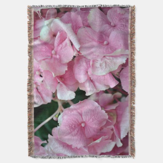 Sehr rosa Hydrangea Decke (Vorderseite Vertikal)