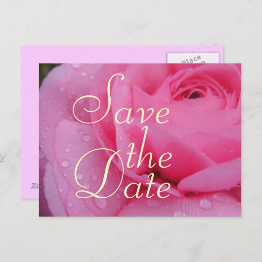 Sehr rosa Save the Date Rose Ankündigungspostkarte (Vorne/Hinten)