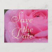 Sehr rosa Save the Date Rose Ankündigungspostkarte (Vorderseite)