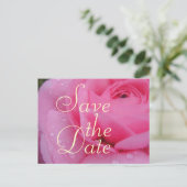 Sehr rosa Save the Date Rose Ankündigungspostkarte (Stehend Vorderseite)