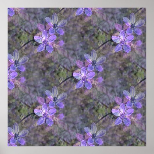 Sehr schön im Frühling. Poster (Vorne)