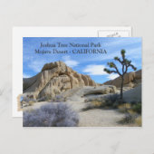 Sehr schöne Joshua Tree Postcard! Postkarte (Vorne/Hinten)