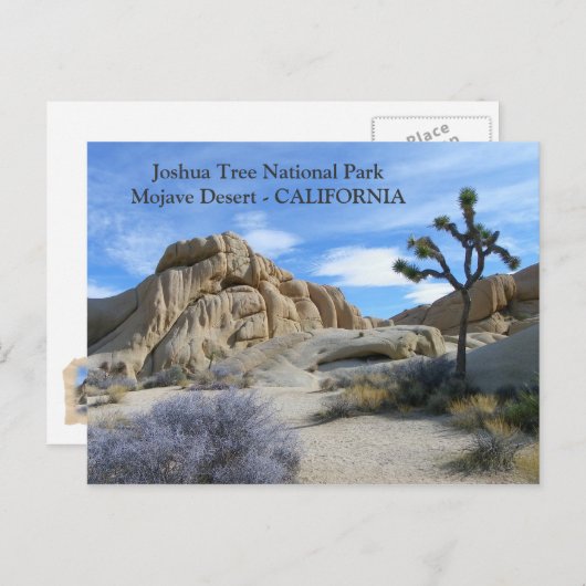 Sehr schöne Joshua Tree Postcard! Postkarte (Vorne/Hinten)