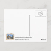 Sehr schöne Joshua Tree Postcard! Postkarte (Rückseite)