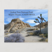 Sehr schöne Joshua Tree Postcard! Postkarte (Vorderseite)