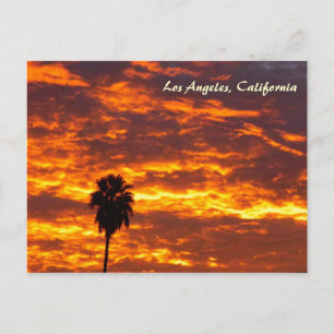 Sehr schöne Los Angeles Postcard! Postkarte