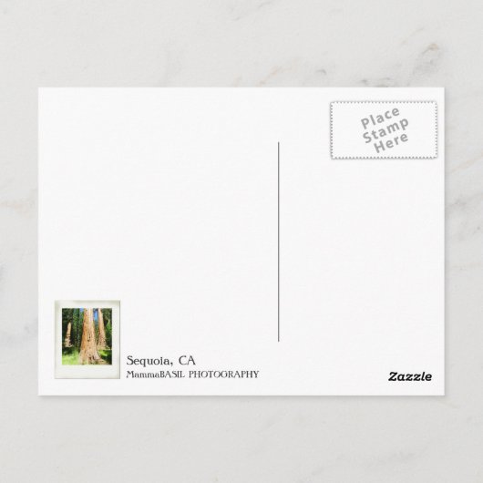 Sehr schöne Sequoia Postcard! Postkarte (Rückseite)