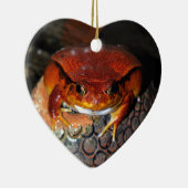 Sehr schöner Tomatenfrosch. Frosch mit ungewöhnlic Keramik Ornament (Rechts)