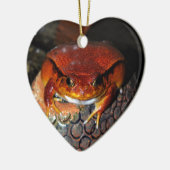 Sehr schöner Tomatenfrosch. Frosch mit ungewöhnlic Keramik Ornament (Links)