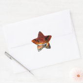 Sehr schöner Tomatenfrosch. Frosch mit ungewöhnlic Stern-Aufkleber (Umschlag)