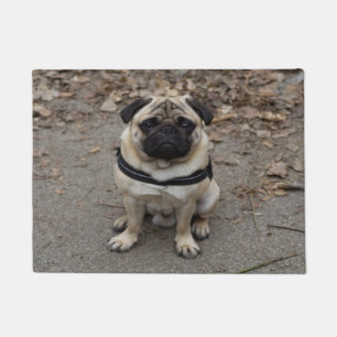 Sehr schwerer Mops Fußmatte