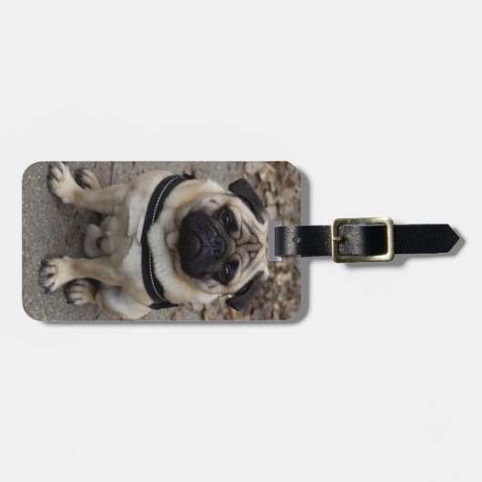 Sehr schwerer Mops Gepäckanhänger (Vorderseite horizontal)