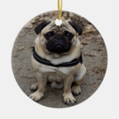 Sehr schwerer Mops Keramikornament (Vorne)