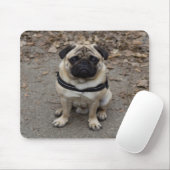 Sehr schwerer Mops Mousepad (Mit Mouse)