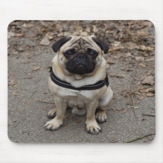Sehr schwerer Mops Mousepad (Vorne)