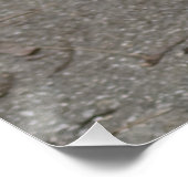 Sehr schwerer Mops Poster (Ecke)