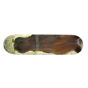 Sehr süße Kastanien-Pferd Skateboard