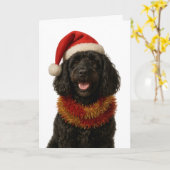 Sehr süße schwarze Cockerpoo-Weihnachtskarte Karte (Gelbe Blume)