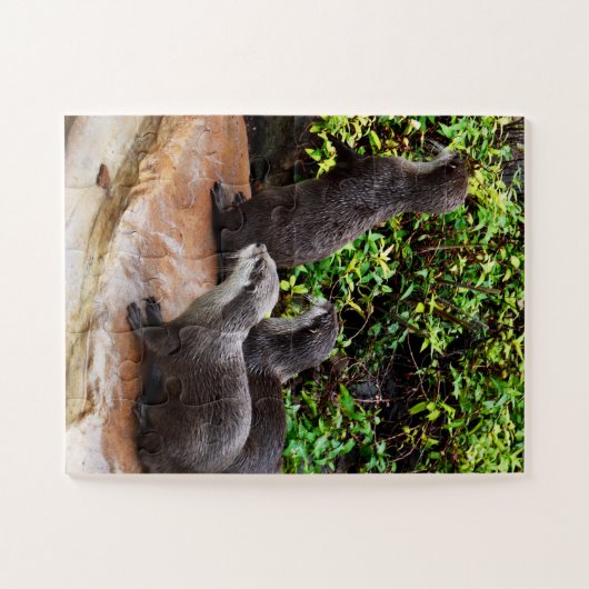 Sehr zauberhafte kleine graue Otters, Puzzle (Horizontal)