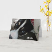 Sei bitte nicht böse auf mich, es tut mir leid karte (Gelbe Blume)