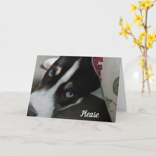 Sei bitte nicht böse auf mich, es tut mir leid karte (Gelbe Blume)