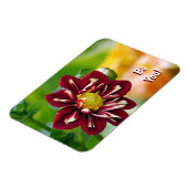 Sei du Daisy Magnet (Linke Seite)
