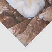 Sei ein Ausweg!  Hühnergewebe Seidenpapier (Ausschnitt)