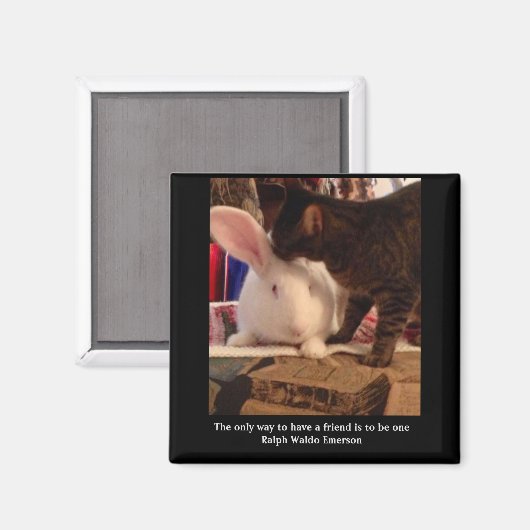 Sei ein Freund Magnet (Vorderseite/Rückseite)