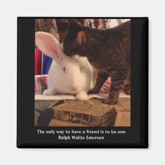 Sei ein Freund Magnet (Vorne)