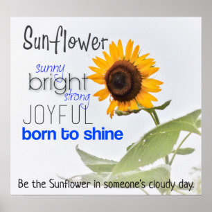 Sei ein Sonnenblumenposter Poster