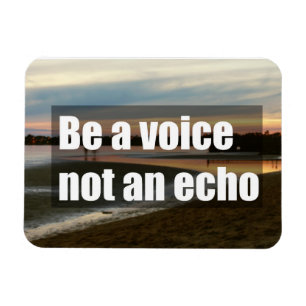 Sei eine Stimme, nicht ein Echo Magnet