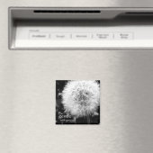 Sei Gentle Magnet (In Situ (Geschirrspüler))