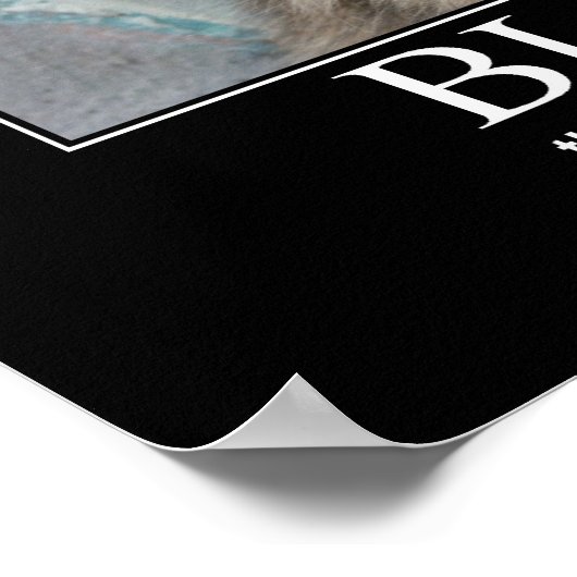 Sei gesegnet. Cat Lover Artwork Poster (Ecke)