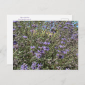 Sei glücklich! Cleveland Sage Postcard Postkarte (Vorne/Hinten)