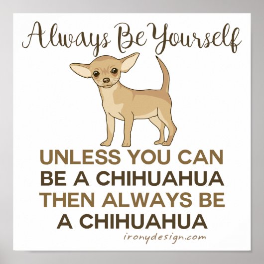 Sei immer ein Chihuahua Poster (Vorne)