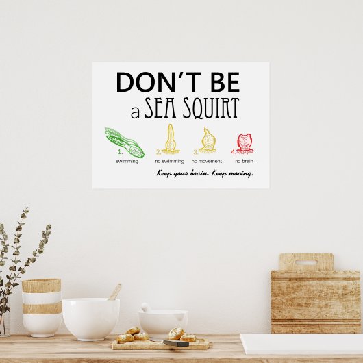 Sei kein Meereshocker mit Farbbildern - Poster (Küche)