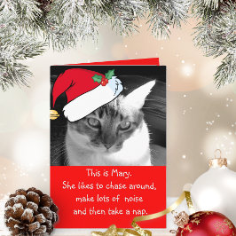 Sei Mary Holiday Card Feiertagskarte