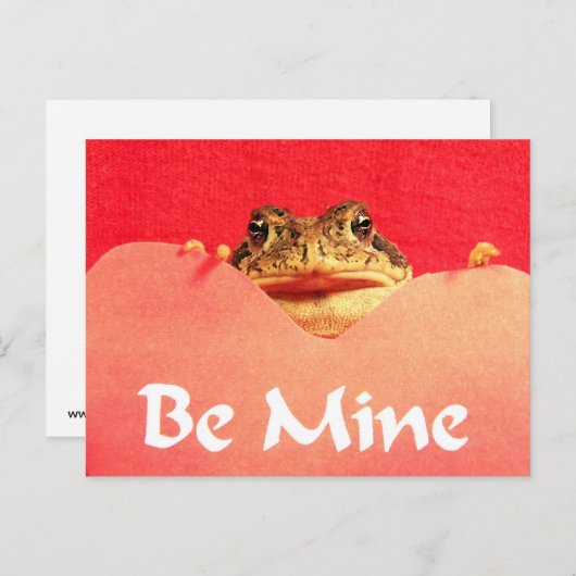 Sei mein Frog nah-up Foto Postkarte (Vorne/Hinten)