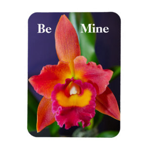 Sei mein Orange Orchid Flexible Magnet