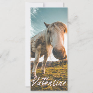 Sei mein Valentin mit Blick Pferd V2.0