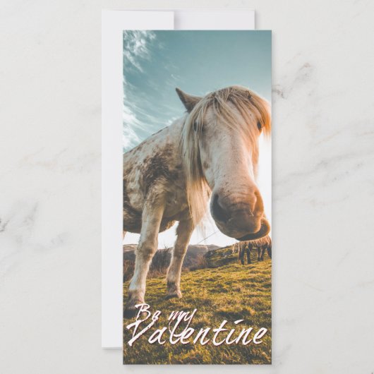 Sei mein Valentin mit Blick Pferd V2.0 (Vorderseite)