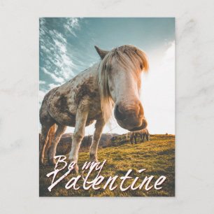 Sei mein Valentin mit Blick Pferd V2.0 Feiertagspostkarte