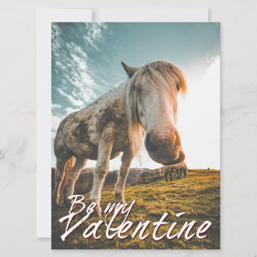 Sei mein Valentin mit Looking Horse V2.0 (Vorderseite)