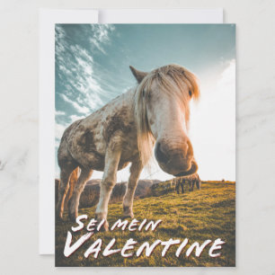 Sei mein Valentin mit schauenden Pferd