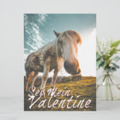 Sei mein Valentin mit schauenden Pferd V2.0 (Stehend Vorderseite)