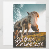 Sei mein Valentin mit schauenden Pferd V2.0 (Vorne/Hinten)