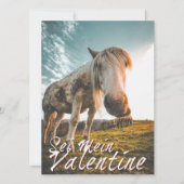 Sei mein Valentin mit schauenden Pferd V2.0 (Vorderseite)
