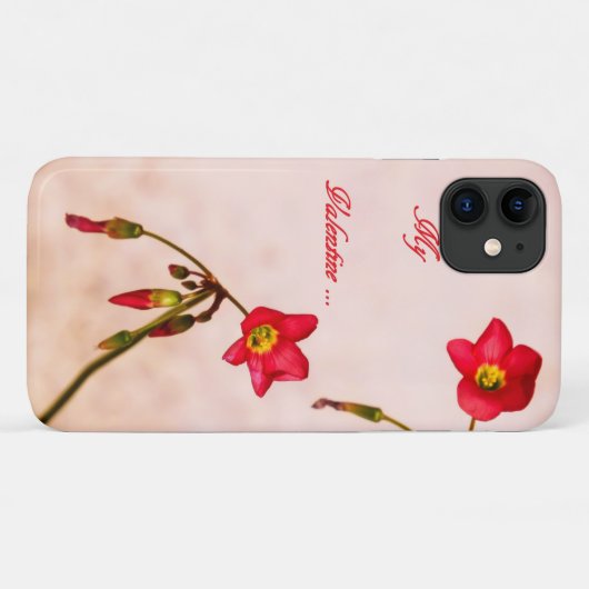 Sei mein Valentine Case-Mate iPhone Hülle (Rückseite (Horizontal))