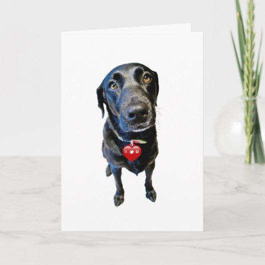 Sei mein Valentine Feiertagskarte (Vorderseite)